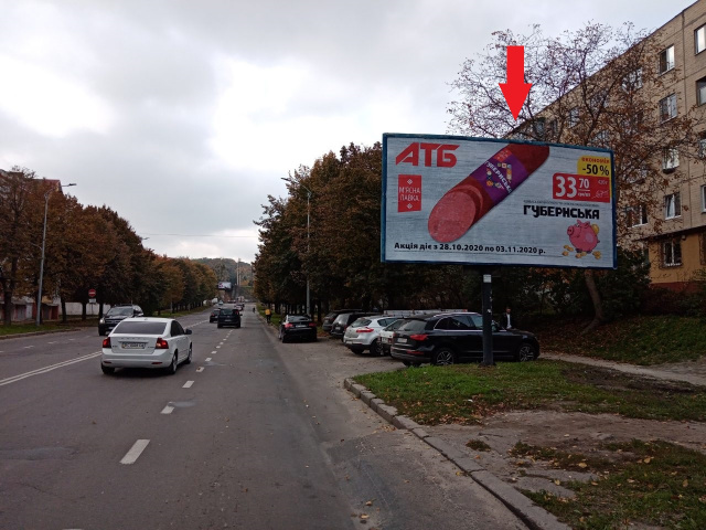 Щит 6x3,  Липинського В. вул., 3 (шинок "Вертеп", навпроти автомийки, шиномонтажу), в напрямку Клепарівська вул.